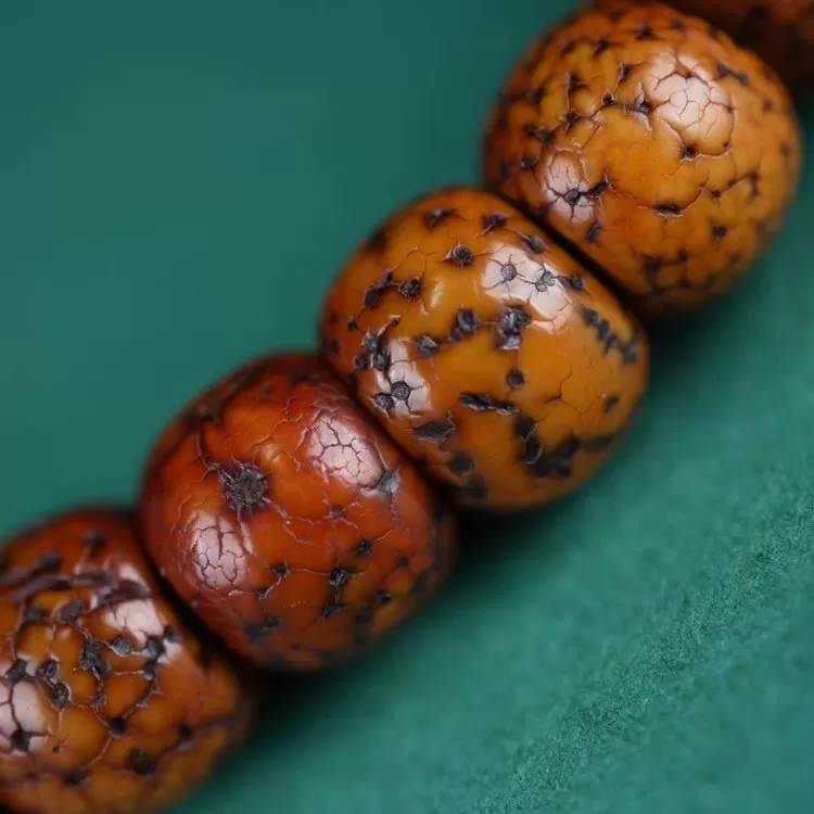 Antique Tibetan Star Moon Bodhi Seed Monk Beads