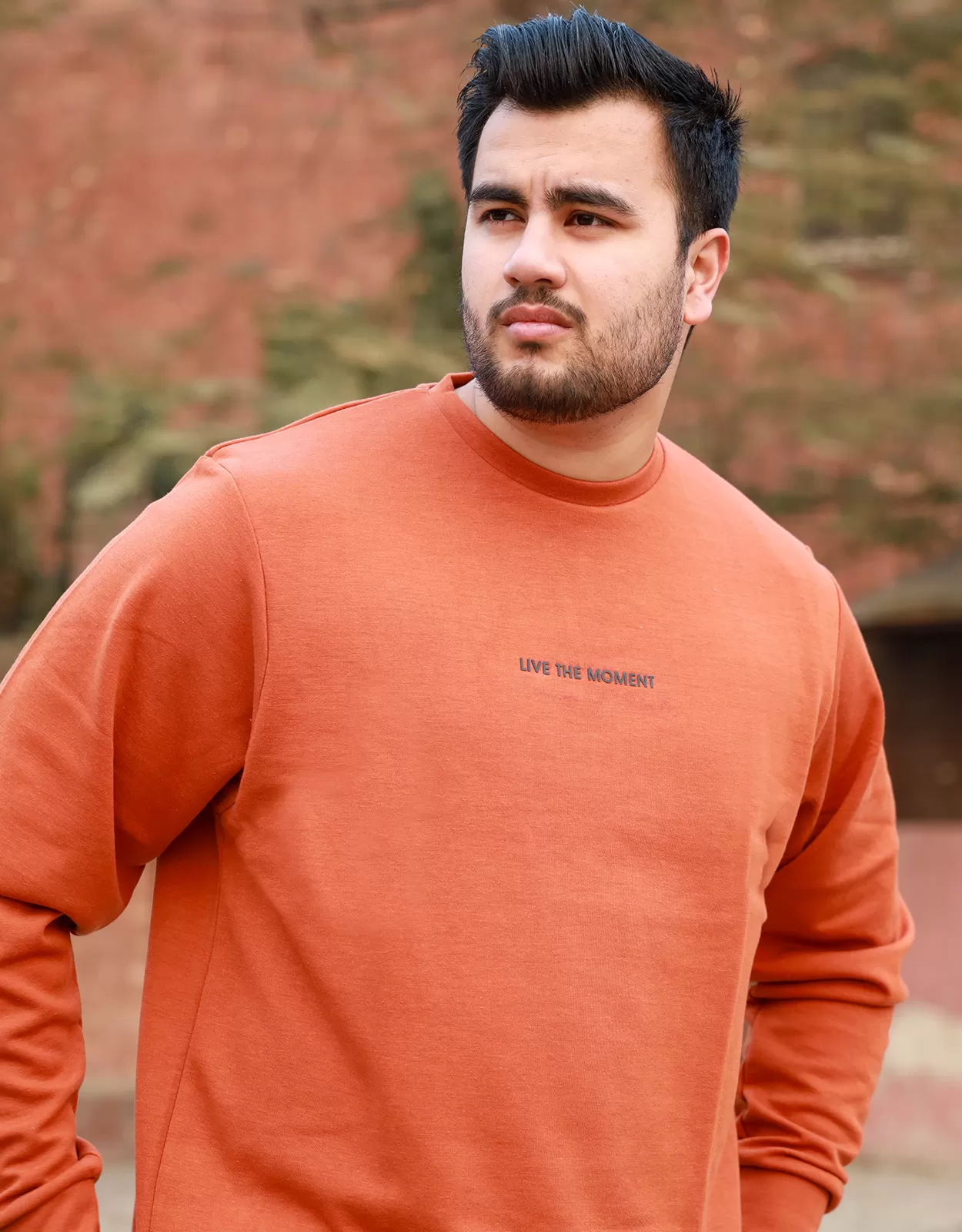 Men's Fashion Brown Sweatshirt