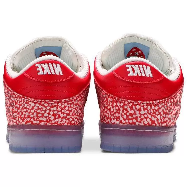 Nike Stingwater x Dunk Low SB 'Magic Mushroom'