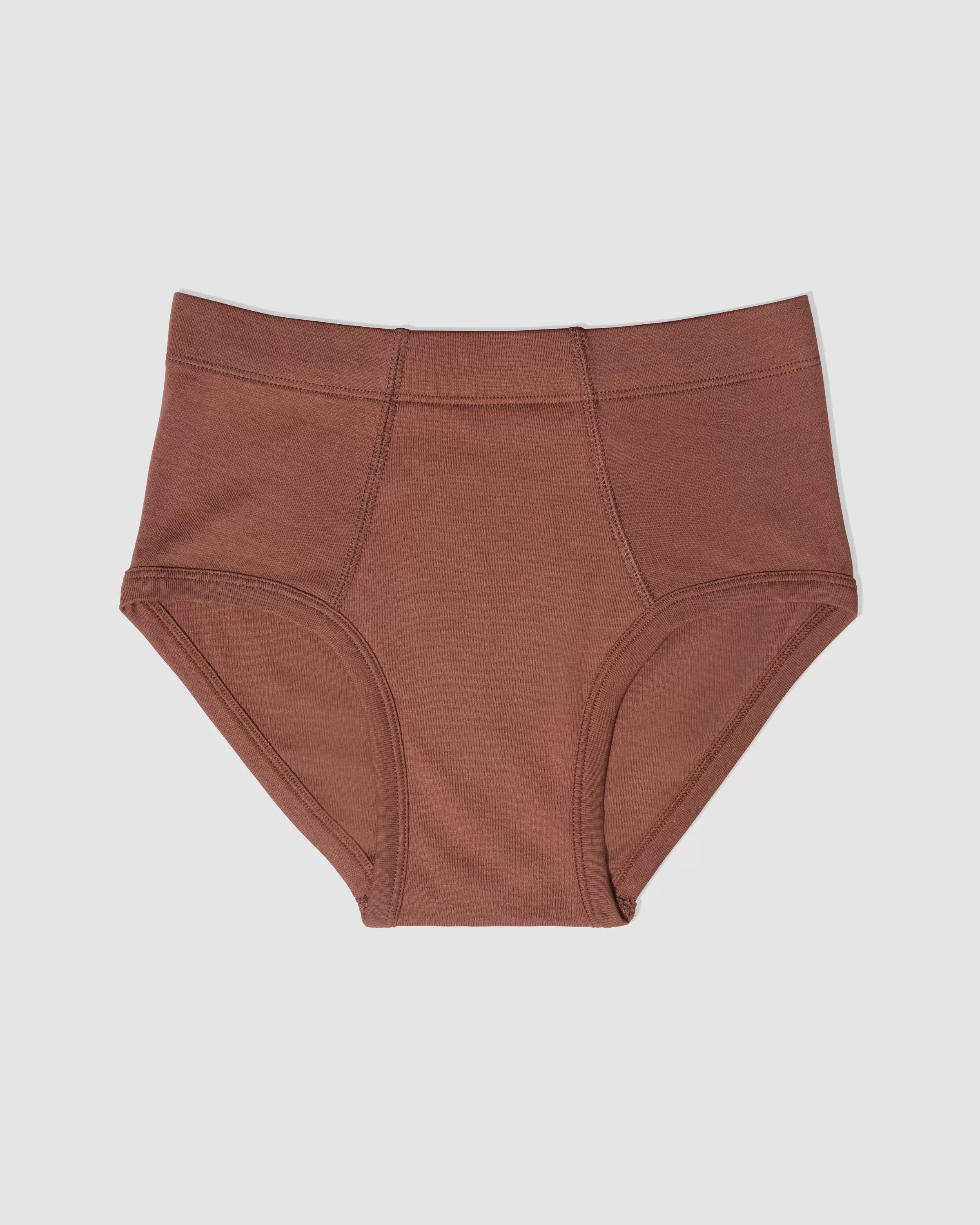 Paneled Brief