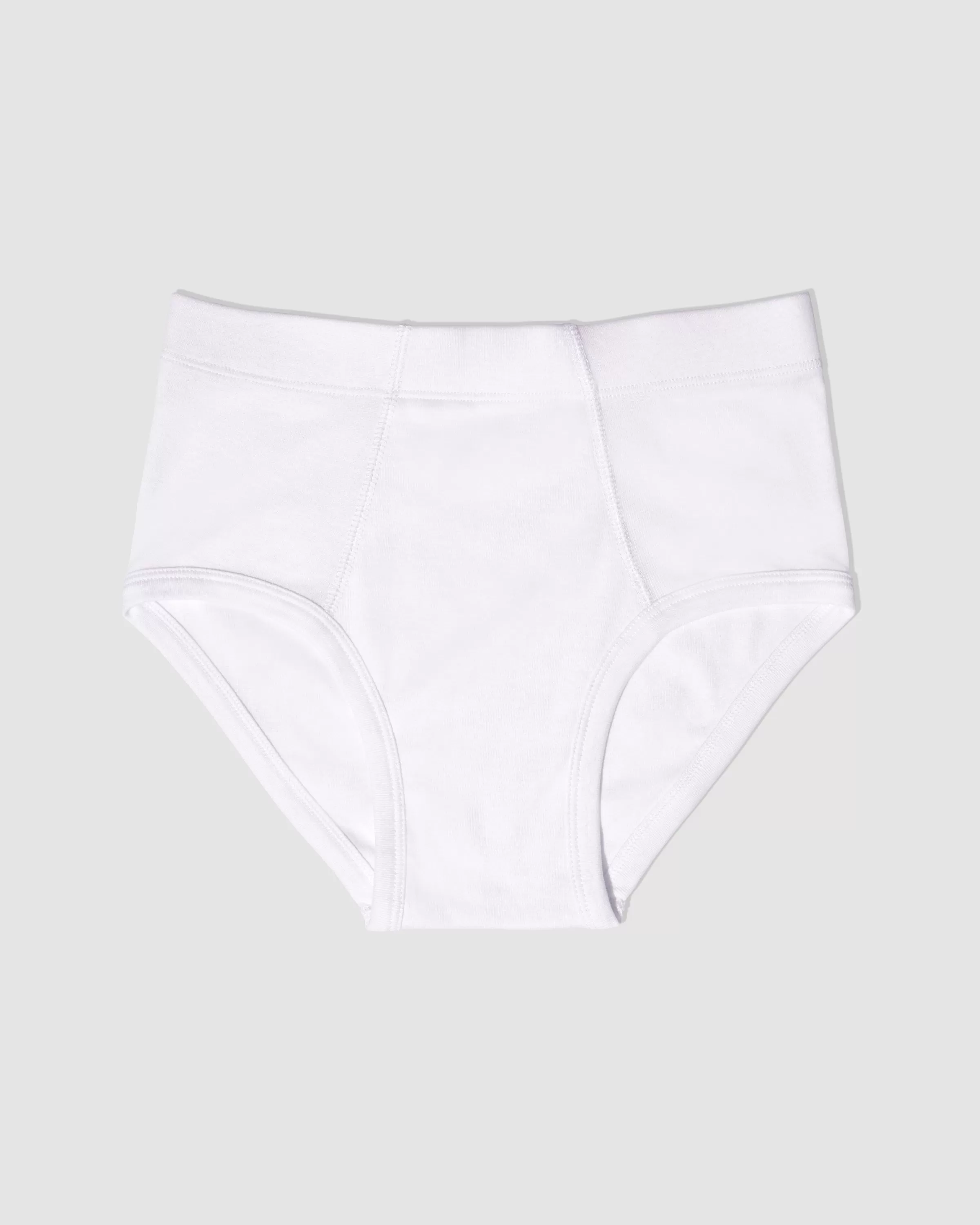 Paneled Brief