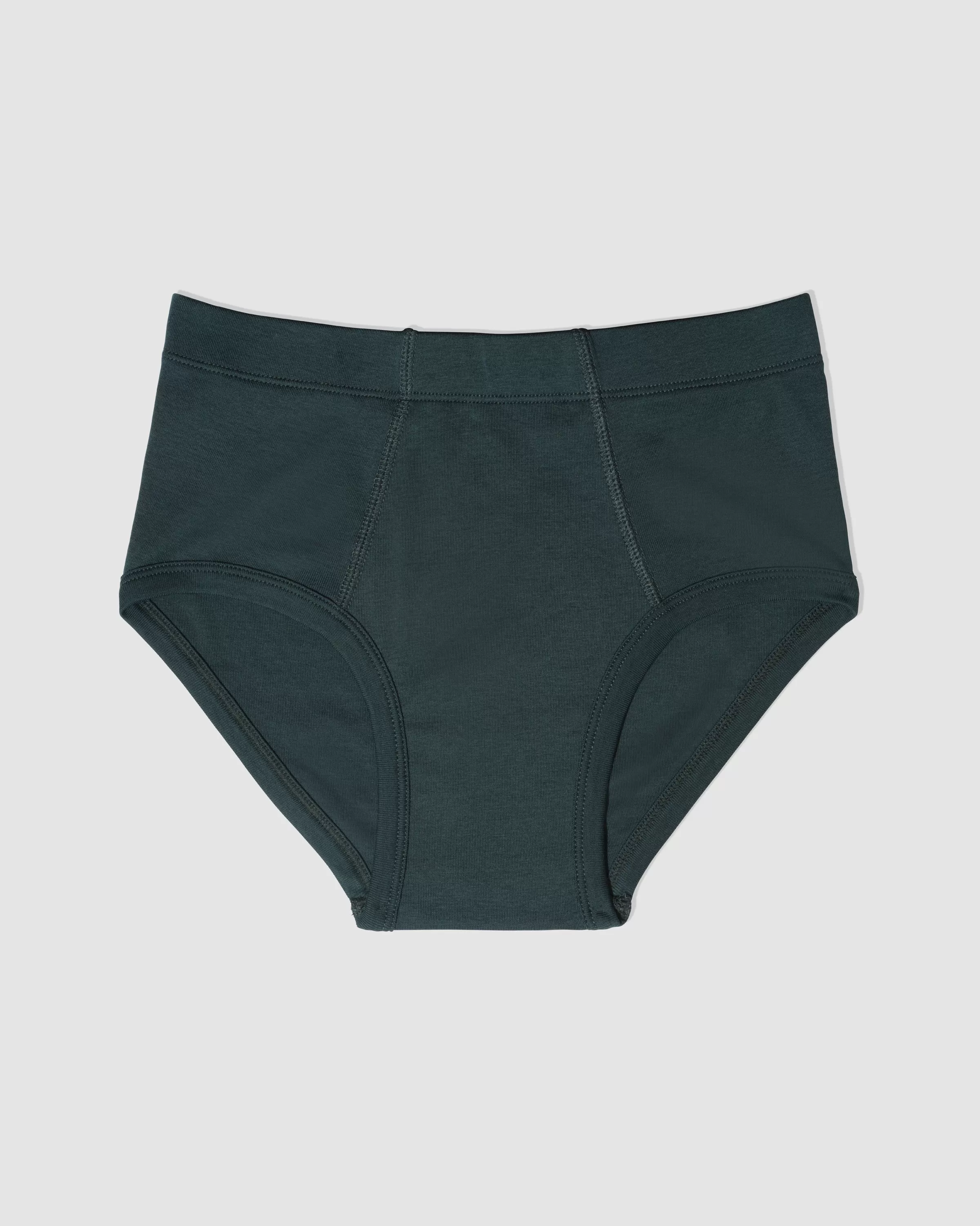 Paneled Brief