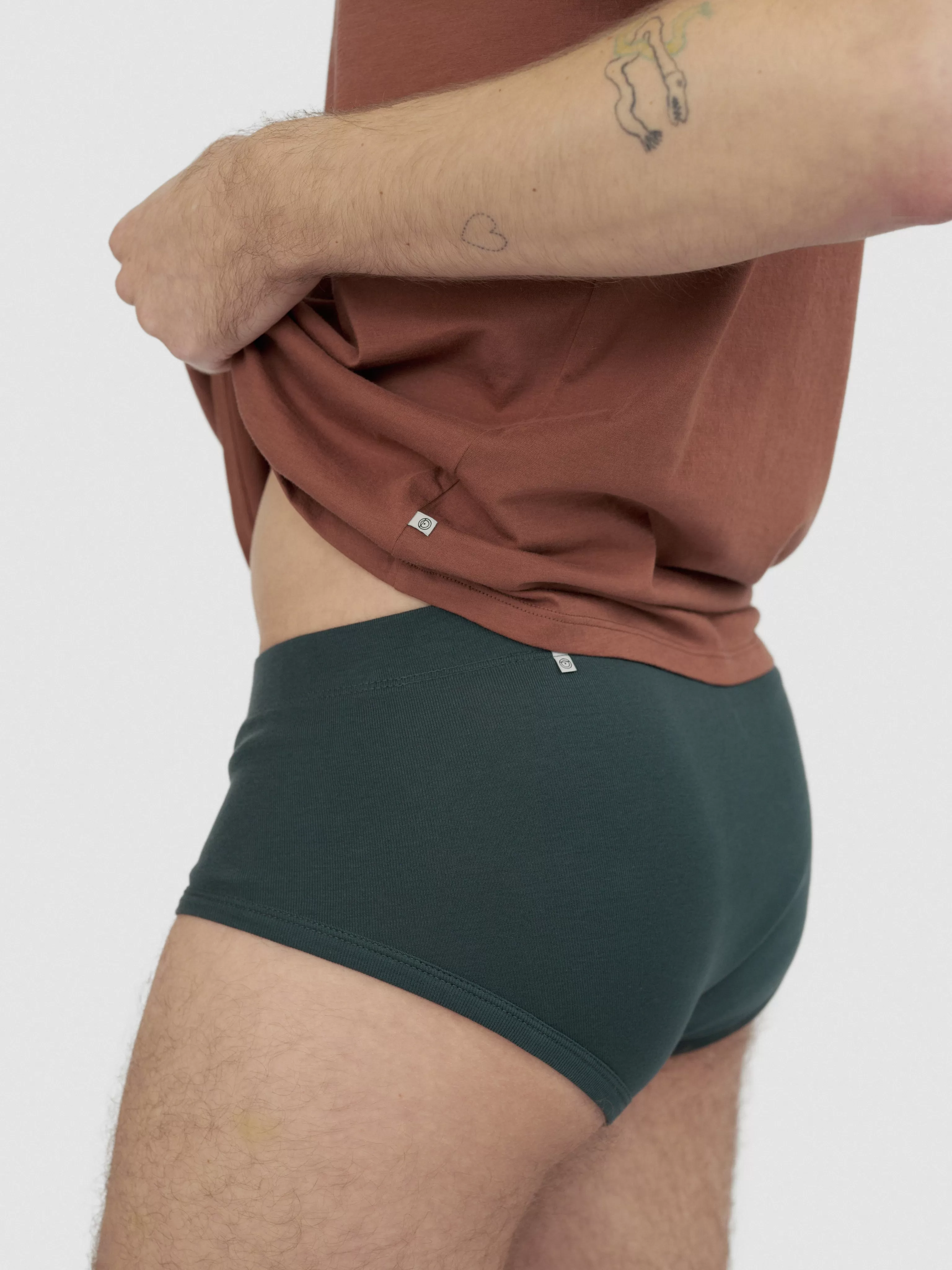 Paneled Brief