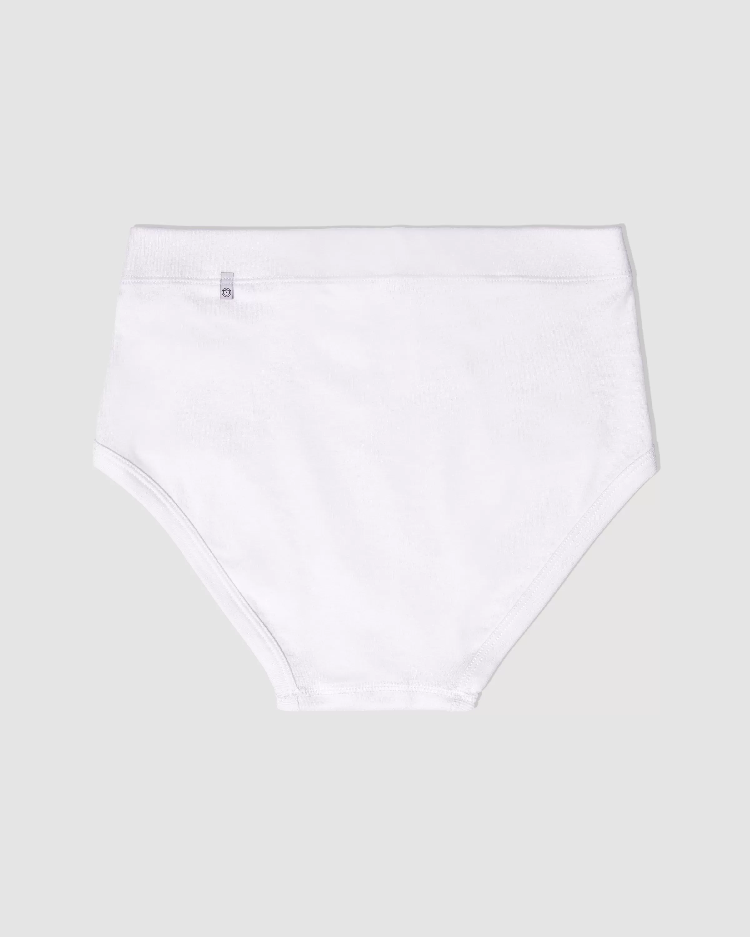 Paneled Brief