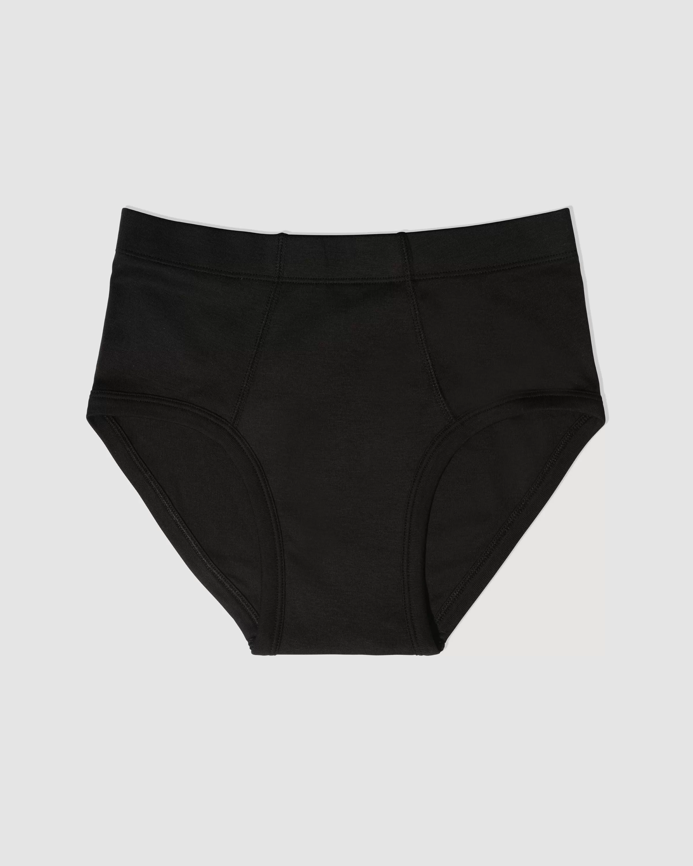 Paneled Brief