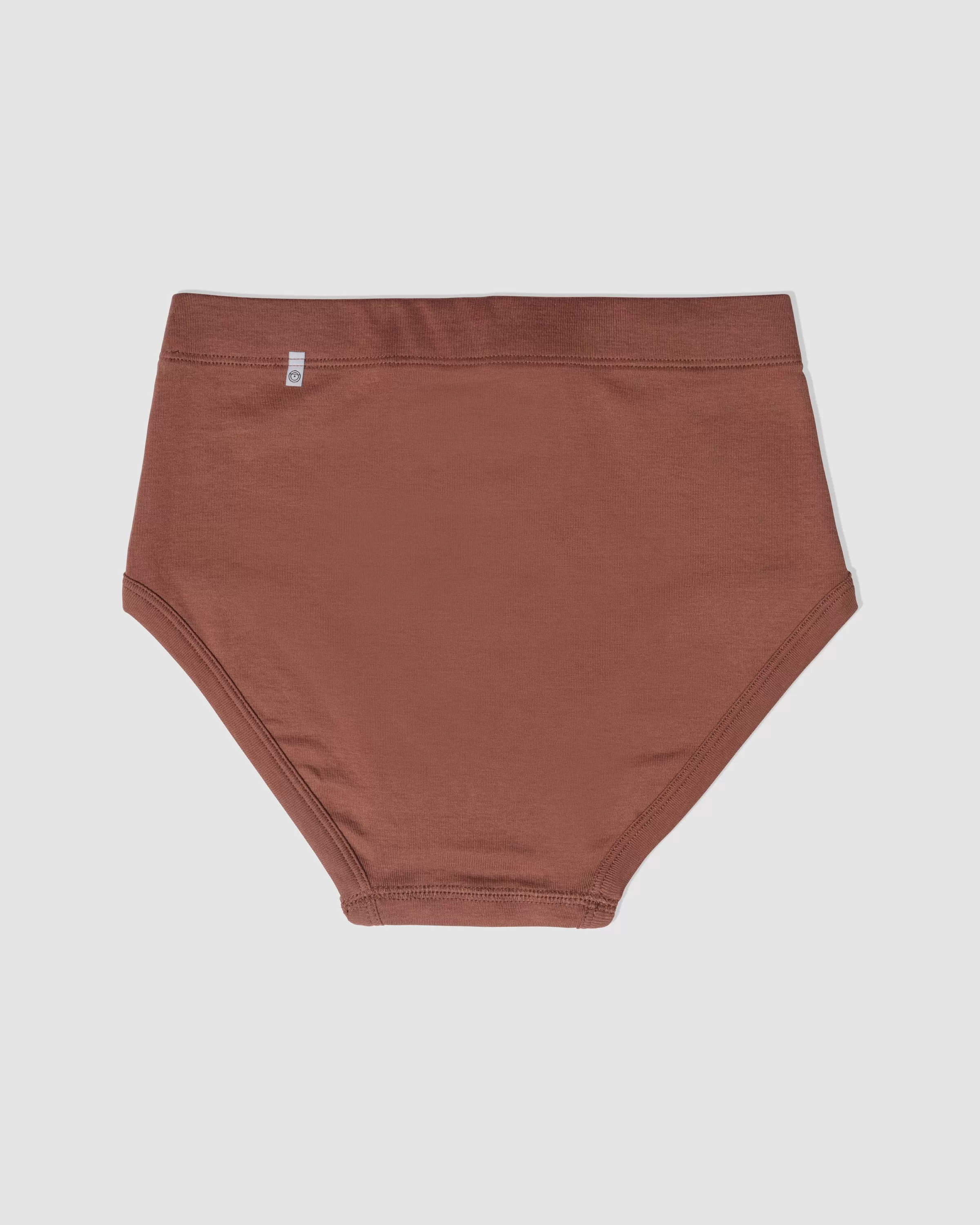 Paneled Brief