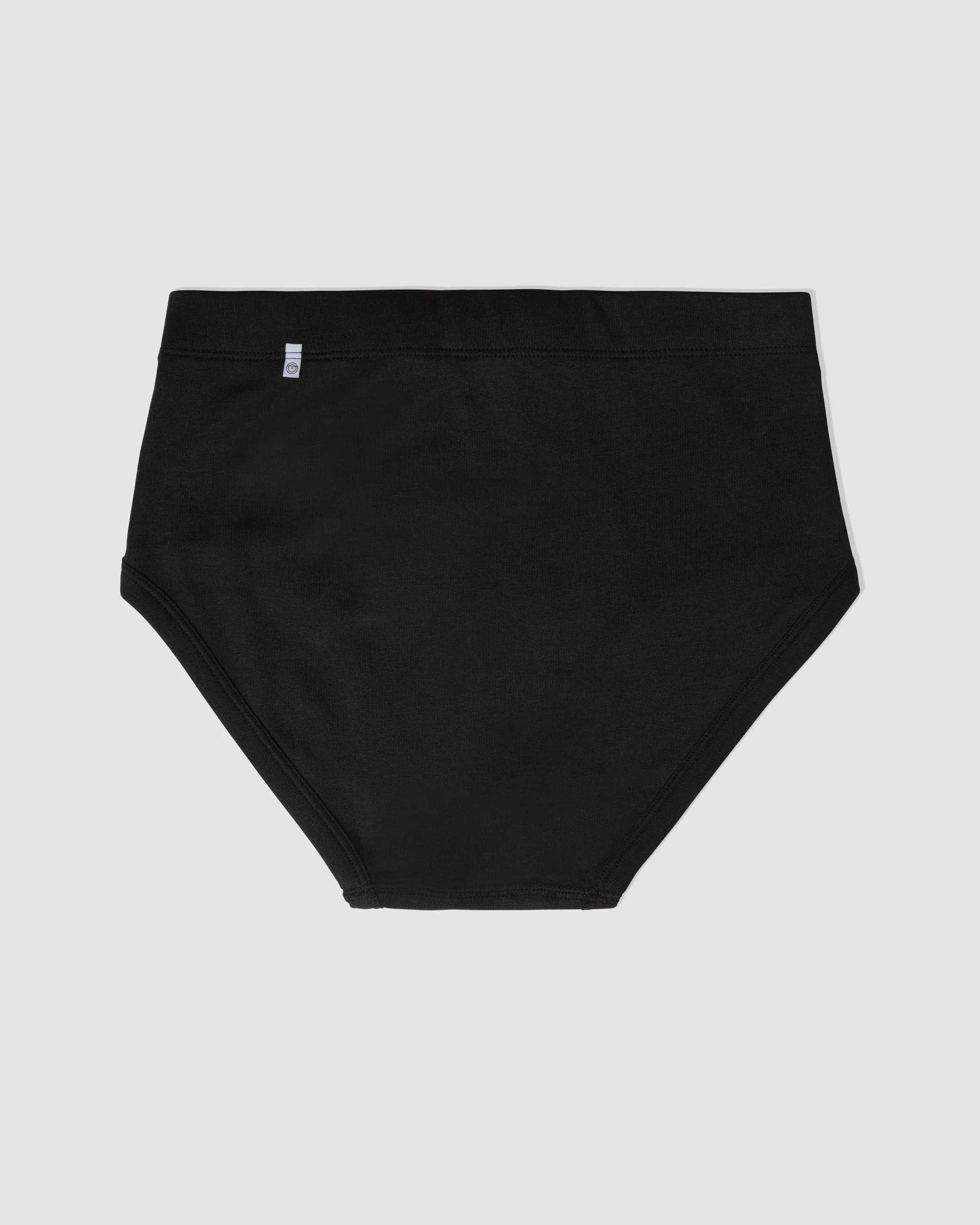 Paneled Brief