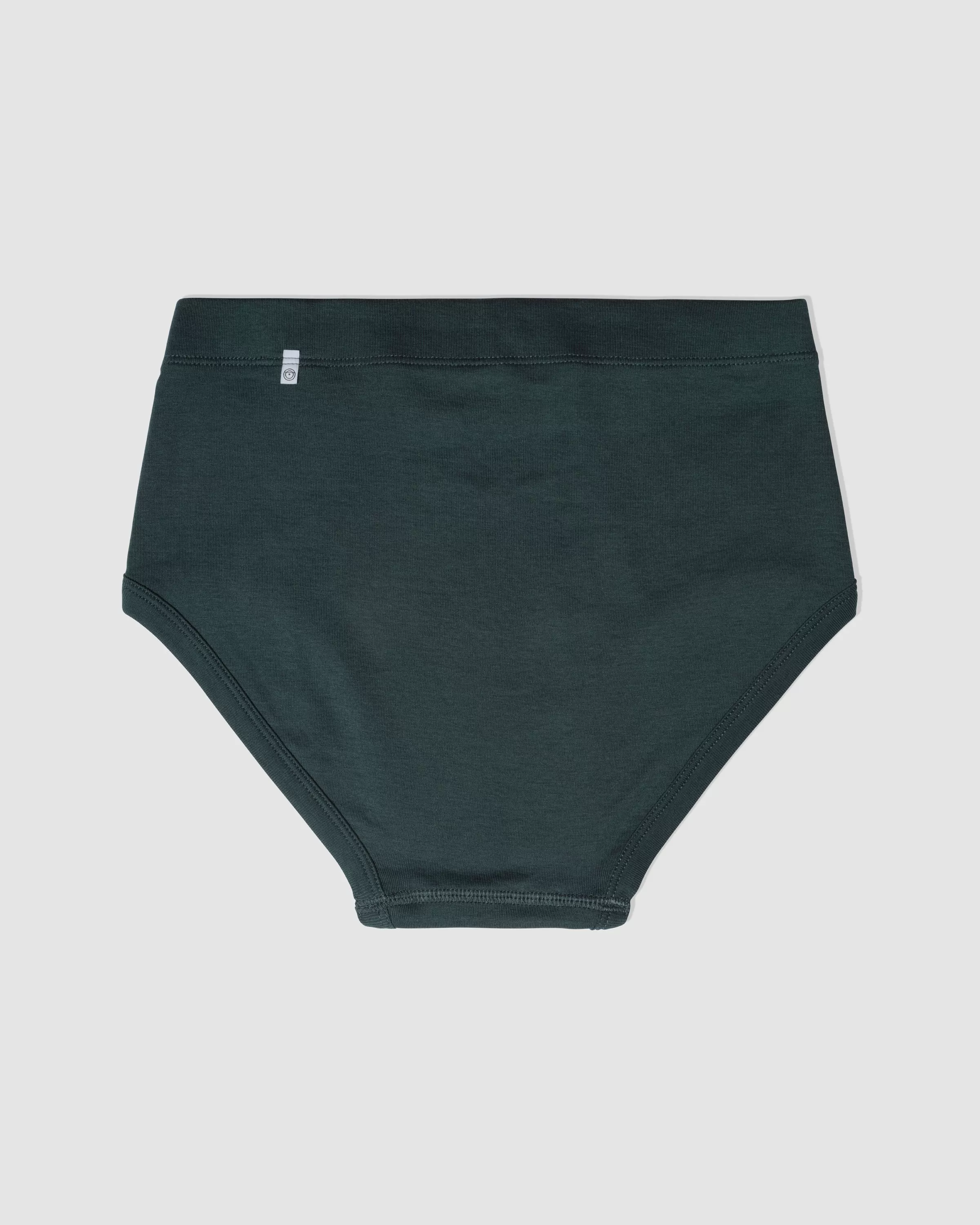 Paneled Brief